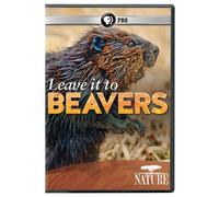 Nature: Leave It to Beavers [DVD] [Region 1] [US Import] [NTSC]