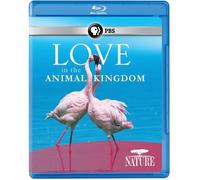 Nature: Love in the Animal Kingdom [Blu-ray] [US Import]