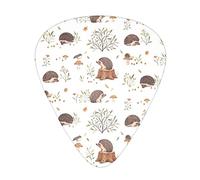 Nature Lovely Hedgehog Lovers Advanced guitar pick 12 pieces Three thicknesses for bass, electric guitar, acoustic guitar bag