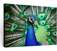 Nature Modern Framed Canvas Wall Art 100 x 75 cm, Animals Peacock Artwork Wall Canvas Pictures Decorations Wall Painting, Art Prints for Bedroom Living Room Dining Room
