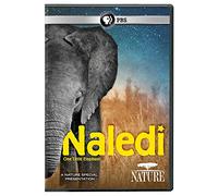 NATURE: NALEDI: ONE LITTLE ELEPHANT - NATURE: NALEDI: ONE LITTLE ELEPHANT (1 DVD)
