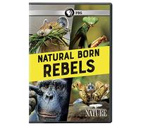NATURE: NATURAL BORN REBELS - NATURE: NATURAL BORN REBELS (1 DVD)