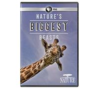 NATURE: Nature's Biggest Beasts [DVD]