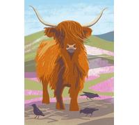 Nature Notebook: Highland Cow