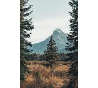 NATURE NOTEBOOK: Inspired by Mountains, Trees & Fields: Let your thoughts flow like the wind