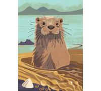 Nature Notebook: Otter (Birlinn Nature Notebooks)