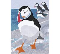 Nature Notebook: Puffin