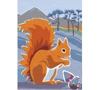 Nature Notebook: Red Squirrel