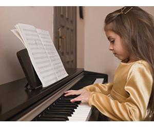 Nature, Nurture, and Musical Brains