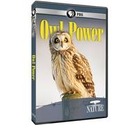 Nature: Owl Power [DVD] [Import]