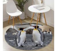 Nature Penguins Rocky Beach Ø150 Cm Soft, Machine Washable, Non-Slip & Non-Shedding Carpet, Grey Decorative Accent Rug For Bedroom, Living Room, Nursery, Or Entryway