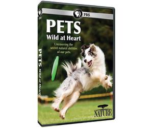 Nature: Pets - Wild at Heart [Region 1]