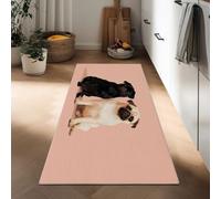 Nature Photography Hallway Runner Rug 60 x 180 cm, Indoor Absorbent Kitchen Rug Mat Animal Pug Portrait Washable Non Slip Hall Runners Narrow Carpet for Entryway Bedroom Laundry Room