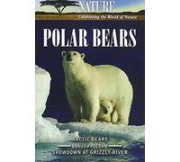 Nature: Polar Bears [DVD] [Region 1] [US Import] [NTSC]