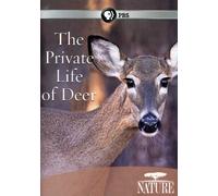 Nature: Private Life of Deer [DVD] [Region 1] [US Import] [NTSC]