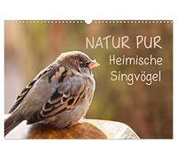 NATURE PUR Native songbirds UK-Version (Wall Calendar 2026 DIN A3 Landscape), CALVENDO 12 Month Wall Calendar