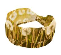 Nature Realistic Dandelion Field in the Sunshine Wide Headbands for Women Non Slip Turban Headband Elastic Hair Bands Yoga Hairband Sweat Sports Workout Headwrap