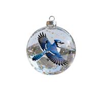 Nature’s Birds Crystal Glass Ornament Set,Cute Birds Christmas Glass Bauble Collection,Clear Plastic Christmas Balls,Xmas Tree Decor (Style B)