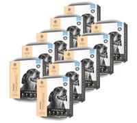 Nature’s Harvest | Natural Complete Wet Senior Dog Food | Chicken & Brown Rice Senior Wet Dog Food for Fussy Eaters and Sensitive Stomachs | Wet Senior Dog Food Multipack 10-Pack | Senior Dogs