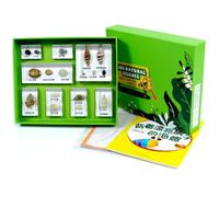 ＡＷＨＡＯ Nature Sample Kit Hands on Educational Sample Kit for Classroom, Homeschool, Seashells With Beautiful Houses