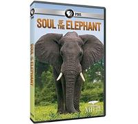Nature: Soul of the Elephant [Region 1]