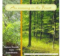 Nature Sounds from Scandinavia - An Evening In The Forest