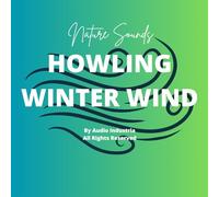 Nature Sounds Howling Winter Wind CD Relaxation Stress Sleep Aid Calm Foley CD