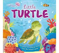 Nature Stories: Little Turtle-Discover an Amazing Story from the Natural World: Padded Board Book