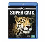 NATURE: Super Cats [Blu-ray]