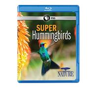 Nature: Super Hummingbirds [Blu-ray] [Import]
