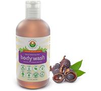 Nature Sustained Raw Dry Skin Body Wash - Organic Sensitive Skin Body Wash - pH Balanced & Natural Acne Body Cleanse - Natural Probiotics & Soap Nuts, 9 ml