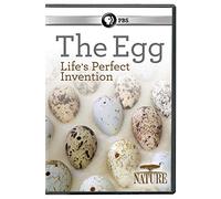 NATURE: The Egg: Life's Perfect Invention DVD