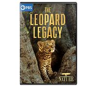 Nature: The Leopard Legacy [Region Free]