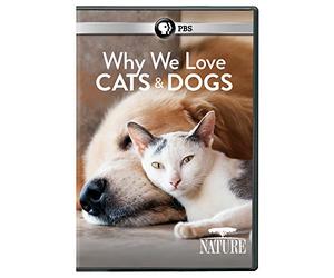 NATURE: WHY WE LOVE CATS &