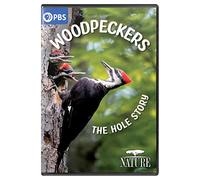 NATURE: Woodpeckers - The Hole Story