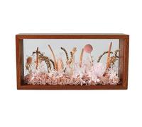 NatureMan Shadow Photo Frame,Wooden Double-Sided High-Definition Plexiglass Storage Box, DIY Display Box, Suitable for Dried Flowers, Specimens, Handicrafts (Walnut Brown)
