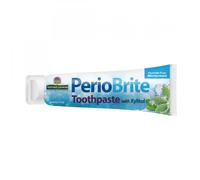 Nature's Answer Fluoride-Free PerioBrite Wintermint Toothpaste - 113g