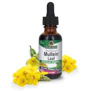 Nature's Answer Mullein Leaf with Organic Alcohol, 1-Fluid Ounce