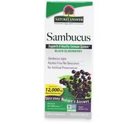 Nature's Answer Sambucus Black Elderberry 120ml