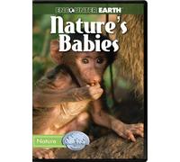 Nature's Babies [DVD] [Region 1] [US Import] [NTSC]
