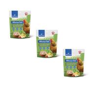 Natures Grub Afternoon Oats 3 x 600g - Banana & Berry | 100% Natural Foraging Treat for Chickens & Poultry, Enrichment for Hens, Boredom Busting, High Protein