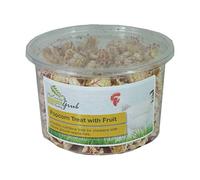 Natures Grub Popcorn Treat With Fruit (6 Pack)