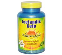 Nature's Life, Icelandic Kelp, 500 Tablets