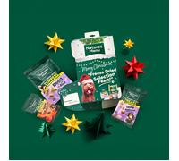 Natures Menu Christmas Stocking Mix - Size: 70g - Treats for Dogs