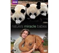 Nature's Miracle Babies [DVD] by Martin Hughes-Games