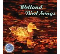 Nature's Rhythms: Wetland Bird