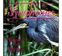 Nature's Symphonies - Sunrise in the Bayou