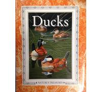 NATURES TREAS DUCKS X5