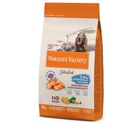 Nature's Variety Selected Medium Adult - Norwegian Salmon - Economy Pack: 2 x 12kg