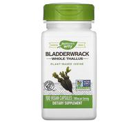 Nature's Way Bladderwrack 580mg 100 Veggie Caps High Strength contains Iodine